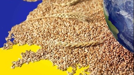 Ngũ cốc Ukraine gặp nguy ngay tại EU, 4 nước châu Âu dọa hành động