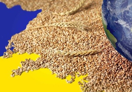 Ngũ cốc Ukraine gặp 'nguy hiểm' ngay tại EU, 4 nước châu Âu dọa hành động. Adobe Stock