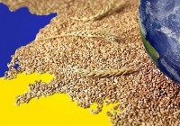 Nga: 'Số phận' thỏa thuận ngũ cốc dựa trên lợi ích của Moscow