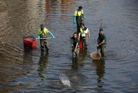 Tây Ban Nha: Giải cứu cá từ dòng sông khô cạn do hạn hán, nắng nóng kéo dài