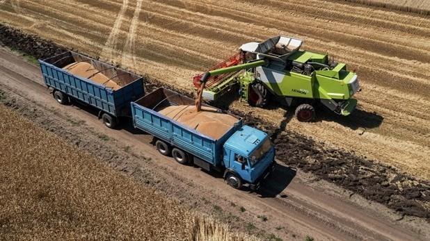 Tổng thống Putin: Thỏa thuận ngũ cốc gây thiệt hại cho ngành nông nghiệp Nga