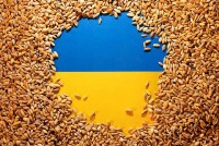 Ngũ cốc Ukraine thoát 'hiểm cảnh' ở 5 nước châu Âu nhờ EU hành động 'đẹp lòng đôi bên'?