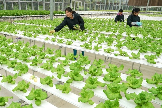 WB phê duyệt khoản vay 345 triệu USD cho Trung Quốc phát triển nông nghiệp xanh