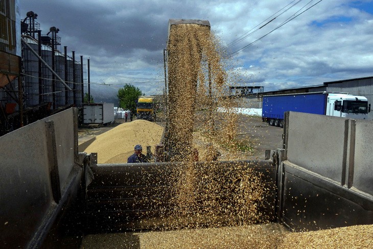 Công nhân vận hành máy đưa ngũ cốc lên xe tải khi thu hoạch lúa mạch ở Odesa, Ukraine. (Nguồn: AFP)