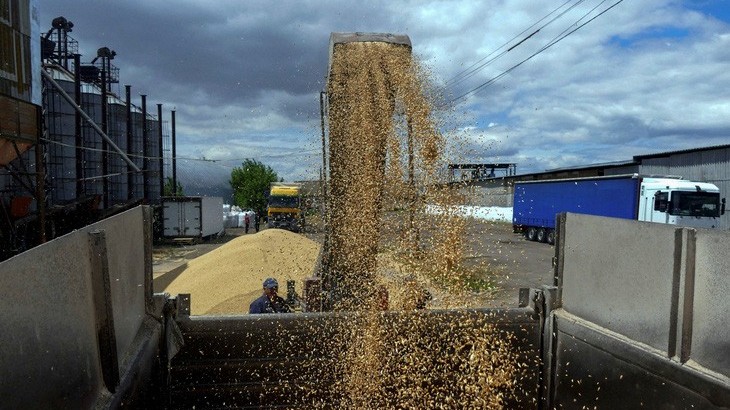 LHQ thúc đẩy xuất khẩu lương thực và phân bón của Nga, Moscow nói gì về Sáng kiến Ngũ cốc Biển Đen?