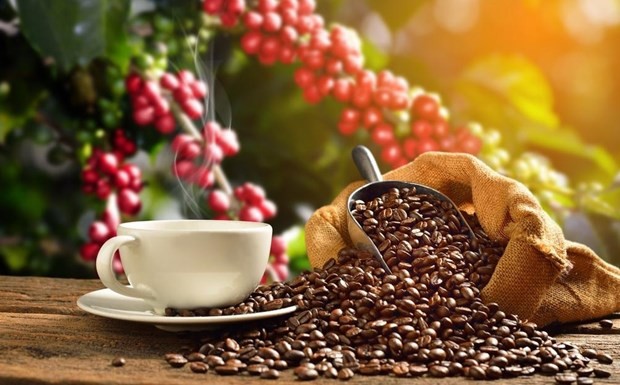 Coffee industry works to improve product value