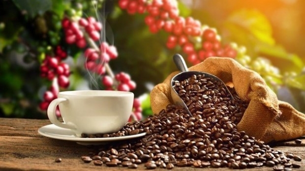 Coffee industry works to improve product value