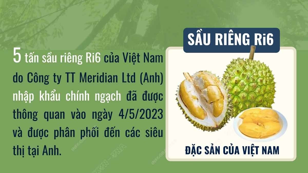 Sầu riêng của Việt Nam đã có mặt tại thị trường Anh