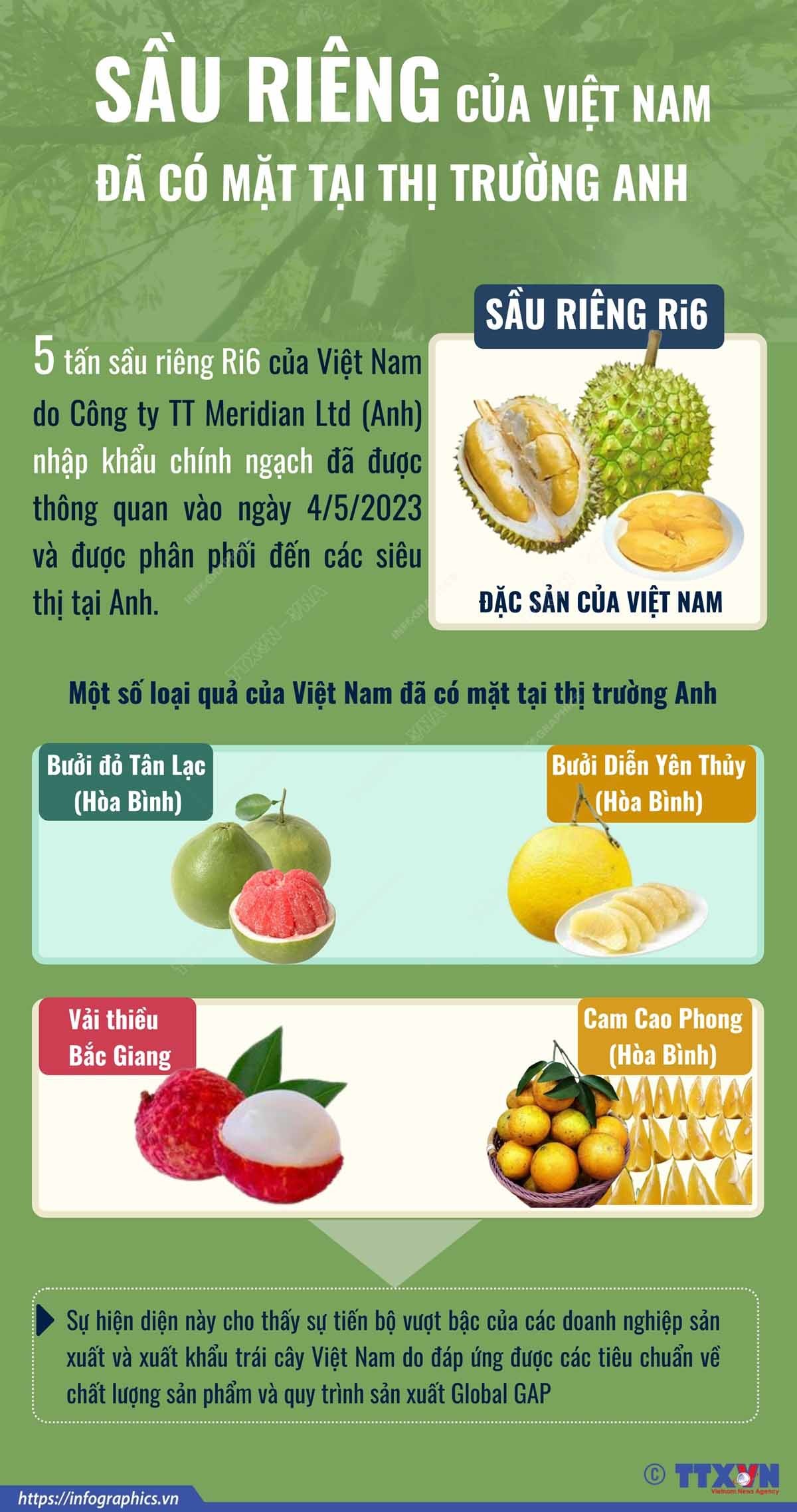 Theo đại diện Thương vụ Việt Nam tại Anh, chất lượng sầu riêng Ri6 vượt trội, cộng với ưu đãi miễn thuế nhập khẩu vào Anh nhờ Hiệp định Thương mại tự do Việt Nam-Vương quốc Anh (UKVFTA) đã giúp sầu riêng Việt Nam có lợi thế cạnh tranh tại thị trường Anh so với sầu riêng từ các nước khác.