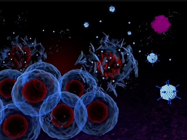 Nhật bản: Phân lập vi khuẩn trong khối u có hiệu quả chống ung thư mạnh mẽ