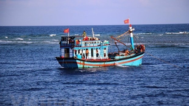 Ca Mau works hard on measures against IUU fishing