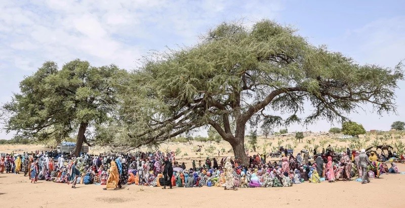 Xung đột Sudan: Mỹ cân nhắc trừng phạt thích hợp, Liê. (Nguồn: Getty Images)n hợp quốc 'nhờ' sự chung tay quốc tế
