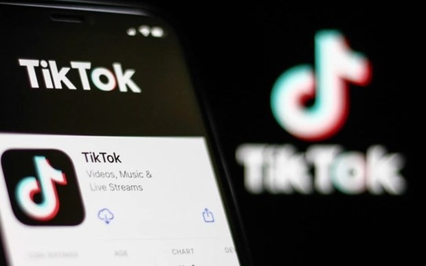 Ministries, agencies conduct comprehensive inspections of TikTok's operations: MIC