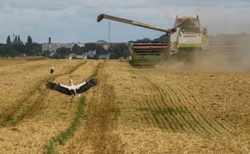 Nga gia hạn thêm 2 tháng Sáng kiến ngũ cốc Biển Đen, Ukraine 'vỗ tay' hưởng ứng