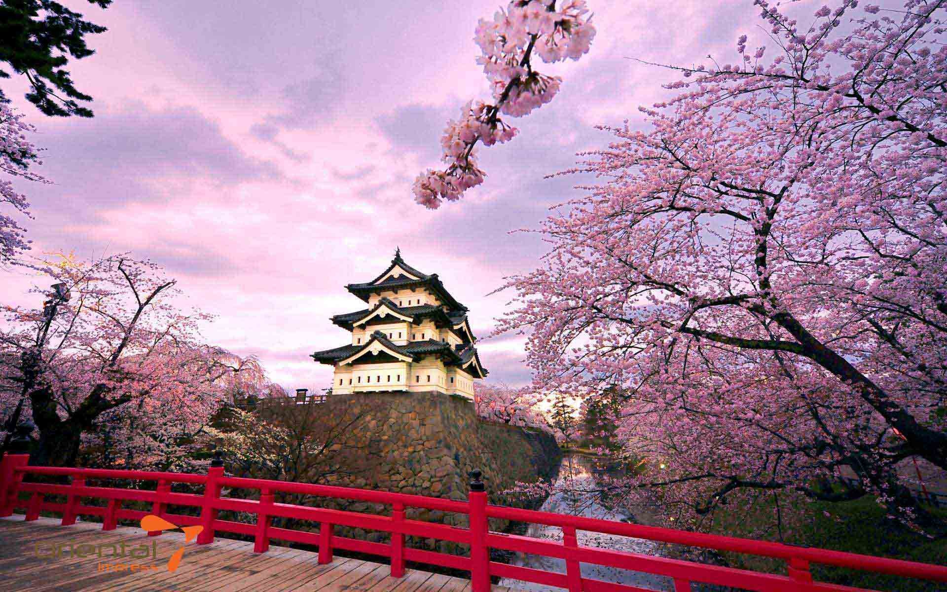 13 lâu đài đẹp nhất Nhật Bản vẫn mang vẻ đẹp nguyên sơ. (Nguồn: Japan Times)