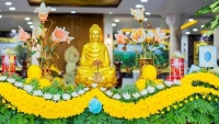 Lời chúc mừng Lễ Phật đản hay và ý nghĩa nhất 2023