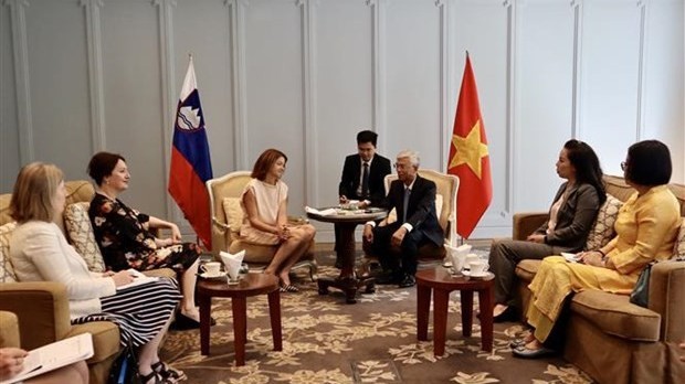 HCM City Vice Chairman receives Slovenian Deputy PM, Minister of Foreign and European Affairs