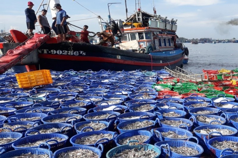 Ngư dân Ninh Thuận nâng cao ý thức chấp hành pháp luật trong khai thác thủy sản, khắc phục ‘thẻ vàng’ IUU. (Ảnh: TX)