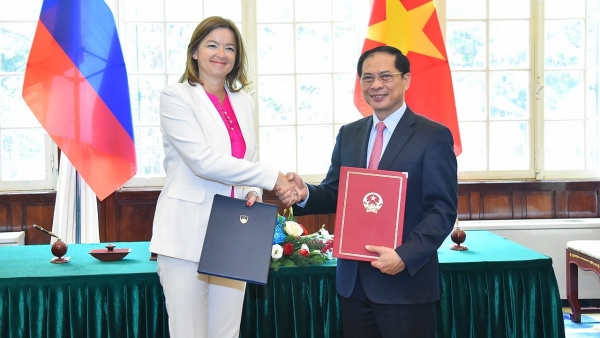 Foreign Minister Bui Thanh Son, Slovenian official hold talks in Hanoi