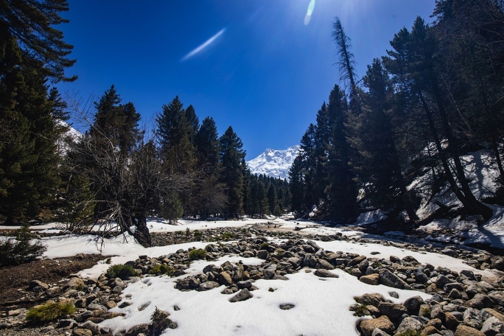 Cung đường từ Fairy Meadows đến trại Beyal Camp là một trong những cung đường tuyệt đẹp, du khách sẽ đi qua những khu rừng thông suối chảy róc rách, hay đi qua những thung lũng tuyết phủ trắng xóa. Tất cả đều tạo nên môt khung cảnh thiên nhiên hùng vĩ và đầy thơ mộng.