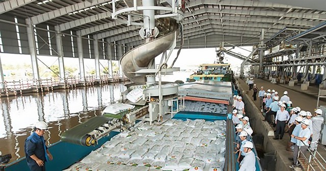 Fertiliser products of Petro Việt Nam Cà Mau Fertilizer JSC (DCM) being processed. In Q1 this year, DCM recorded a 33 per cent decrease in revenue and a 85 per cent decrease in profit after tax compared to the same period in 2022. (Photo: DCM)