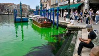 Italy: Chưa rõ nguyên nhân một phần kênh đào Venice chuyển màu xanh lá