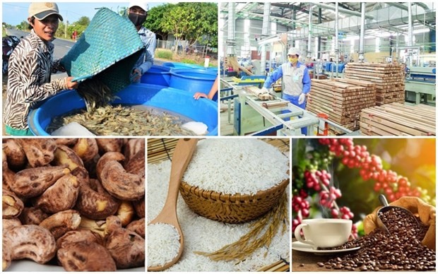 Government support helps aquaculture industry weather difficulties | Business | Vietnam+ (VietnamPlus)