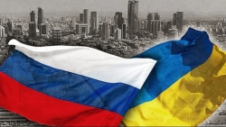 Vì lợi ích của chính mình, châu Phi xúc tiến hành động giải quyết xung đột Nga-Ukraine, tỏ bày hy vọng
