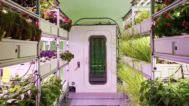 Du hành không gian sẽ sử dụng thực phẩm được chế biến tại chỗ - Bước tiến công nghệ