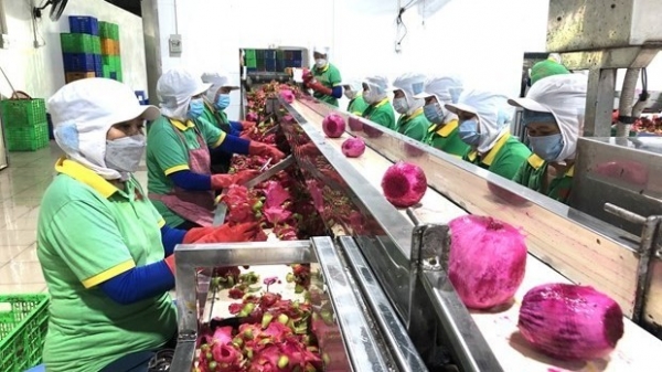 Vietnam, China seek to promote trading of agro-forestry-fisheries products: MARD