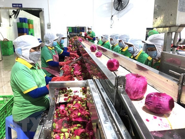 Vietnam, China seek to promote trading of agro-forestry-fisheries products