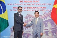 Việt Nam-Brazil hướng tới dịp kỷ niệm 35 năm thiết lập quan hệ ngoại giao vào năm 2024