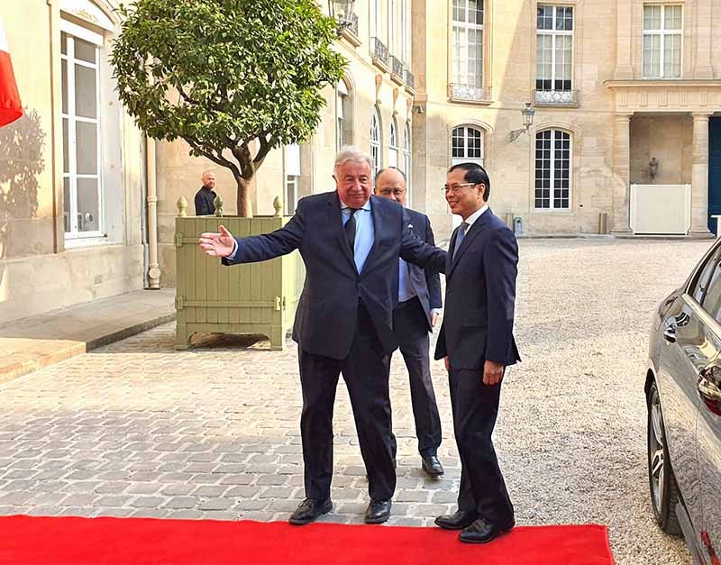 Việt Nam luôn coi trọng phát triển quan hệ toàn diện với Pháp Việt Nam luôn coi trọng phát triển quan hệ toàn diện với Pháp