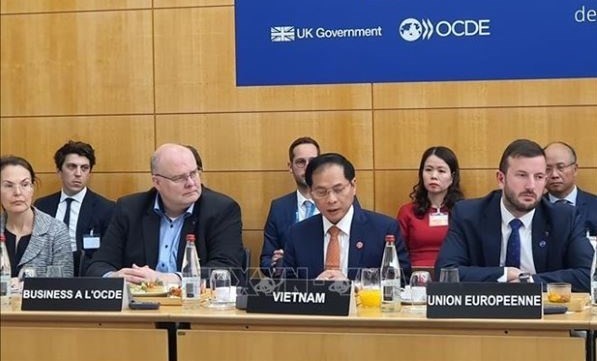 Foreign Minister highlights Vietnam’s determination for green transition