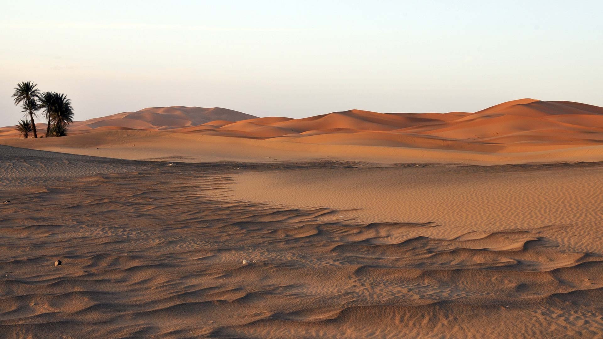 Bãi biển nhân tạo ở châu Âu lấy hàng trăm nghìn tấn cát từ sa mạc lớn nhất thế giới