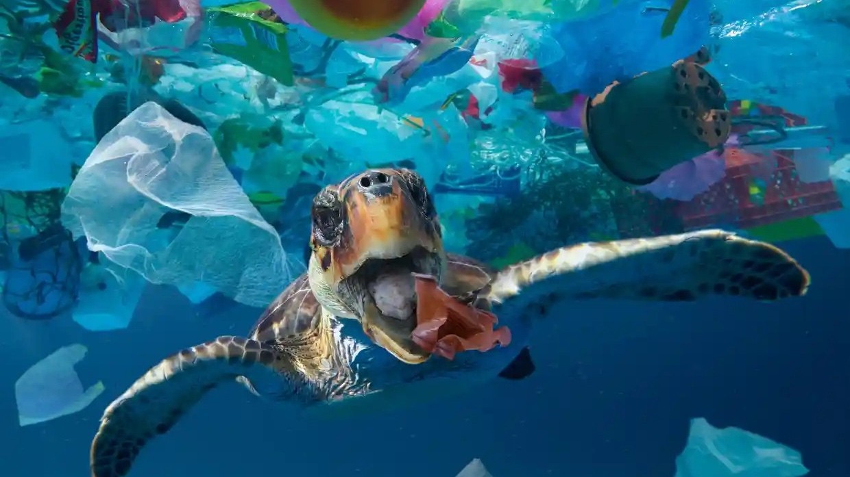 Rác thải nhựa: Mối hoạ đang xâm chiếm các đại dương