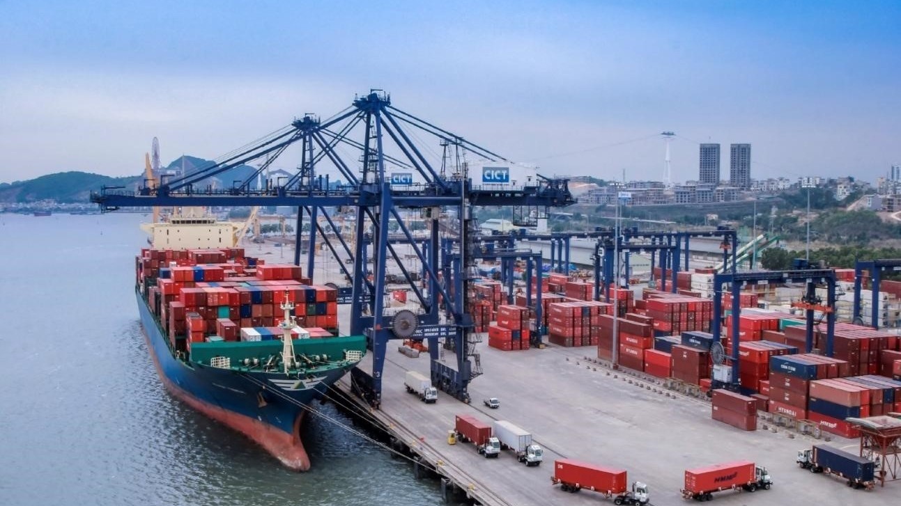 Sớm hoàn thiện Hồ sơ điều chỉnh Quy hoạch tổng thể hệ thống cảng biển Việt Nam tầm nhìn đến năm 2050