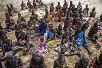 Khủng hoảng lương thực trầm trọng tại Đông Phi, Nga ngỏ lời cung cấp ngũ cốc miễn phí cho các nước nghèo