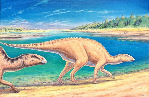 Phát hiện dấu tích về loài khủng long mỏ vịt tại Chile