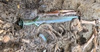 Đức: Khai quật thanh gươm bằng đồng 3.000 năm tuổi, vẫn sáng bóng một cách khác thường