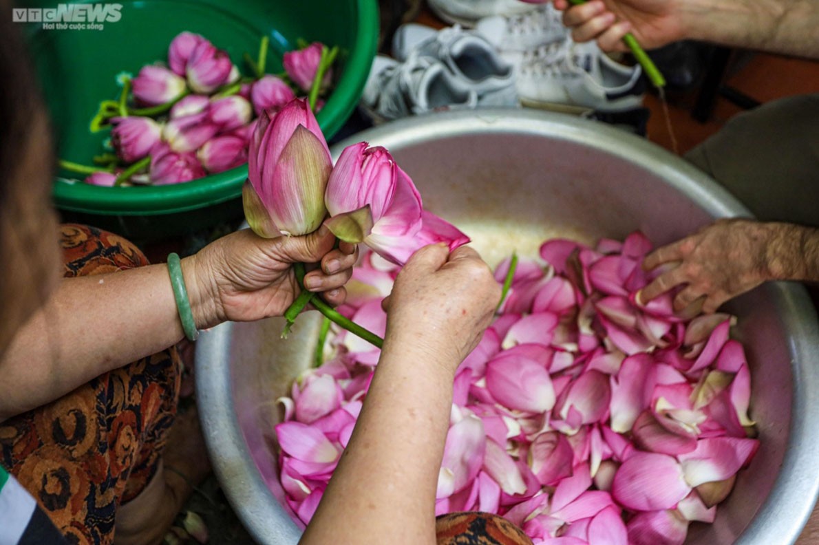 Experiencing lotus tea making in West Lake, Hanoi