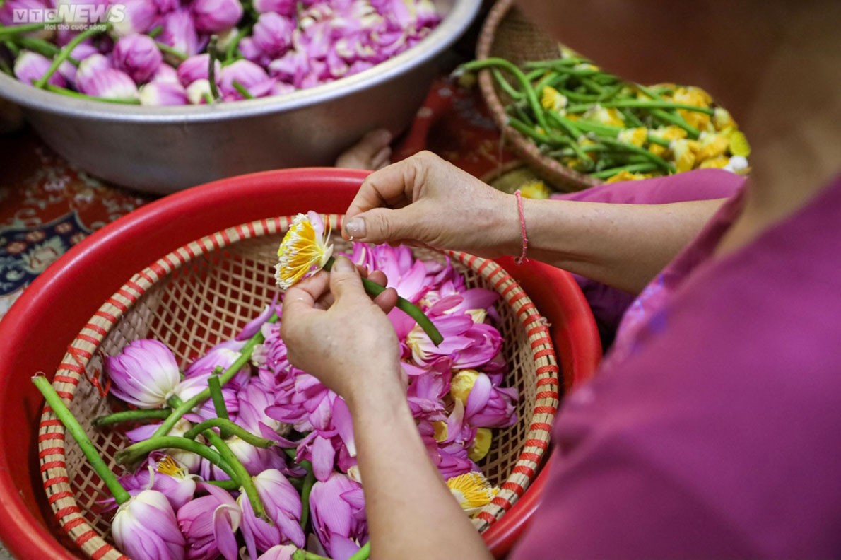 Experiencing lotus tea making in West Lake, Hanoi