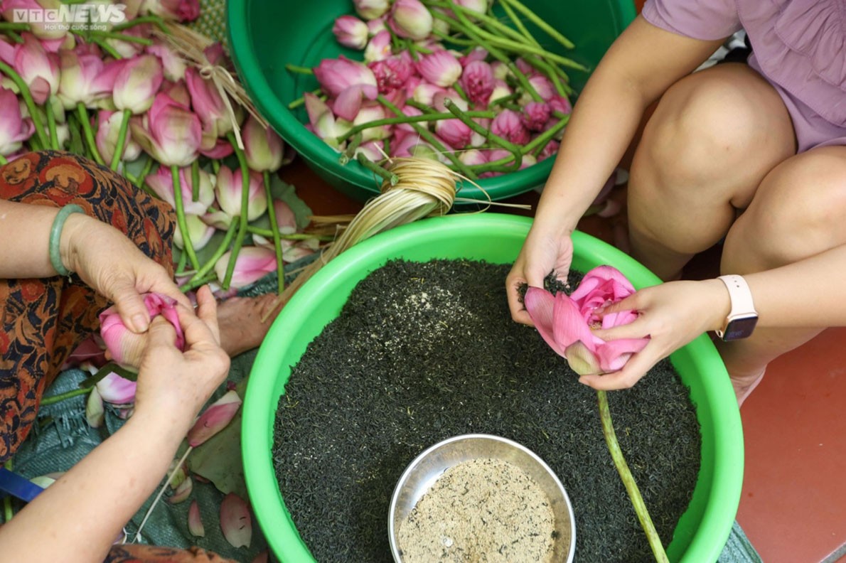 Experiencing lotus tea making in West Lake, Hanoi