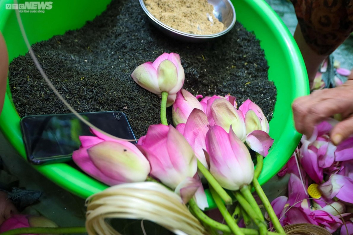 Experiencing lotus tea making in West Lake, Hanoi