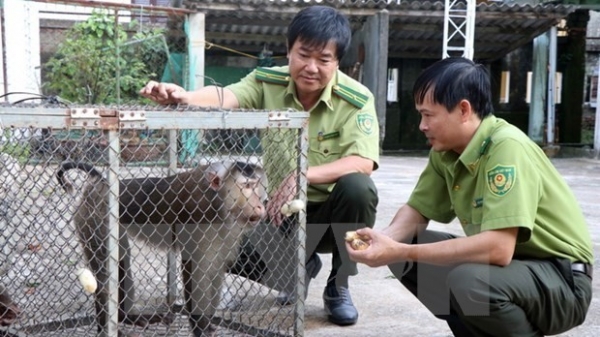 To enhance cooperation in forest, wildlife protection between Vietnamese, Lao localities