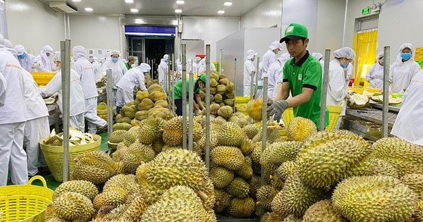 Trung Quốc vẫn là thị trường tiêu thụ chủ lực của nhiều ngành hàng xuất khẩu Việt Nam