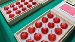 Nhật Bản: Bán đấu giá, hơn 82 triệu đồng 1 hộp cherry hảo hạng hình trái tim