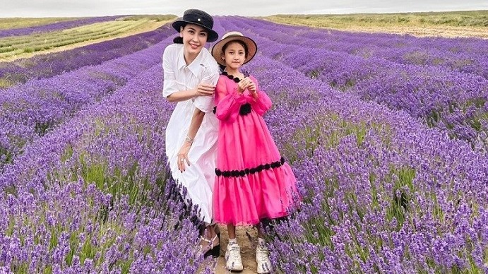 Du lịch Anh, gia đình Hoa hậu Hà Kiều Anh chụp ảnh bên cánh đồng hoa oải hương tím lịm