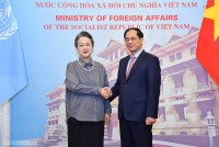 Liên hợp quốc và ESCAP đồng hành với Việt Nam trong phát triển bền vững