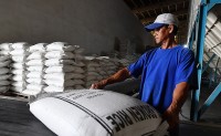 Tăng cường giải pháp, thúc đẩy sản xuất và xuất khẩu gạo